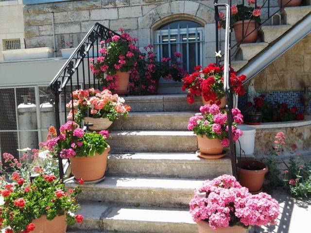 Rosary Sister Guest House Ein Karem เยรูซาเลม ภายนอก รูปภาพ